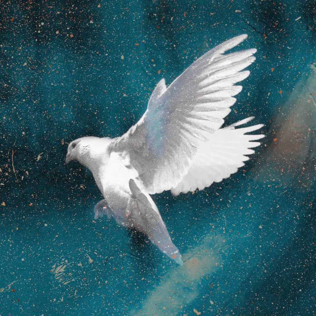 50 Things the Holy Spirit&nbsp;Does